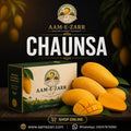 Premium Multani Chaunsa Mangoes | Aam e Zarr