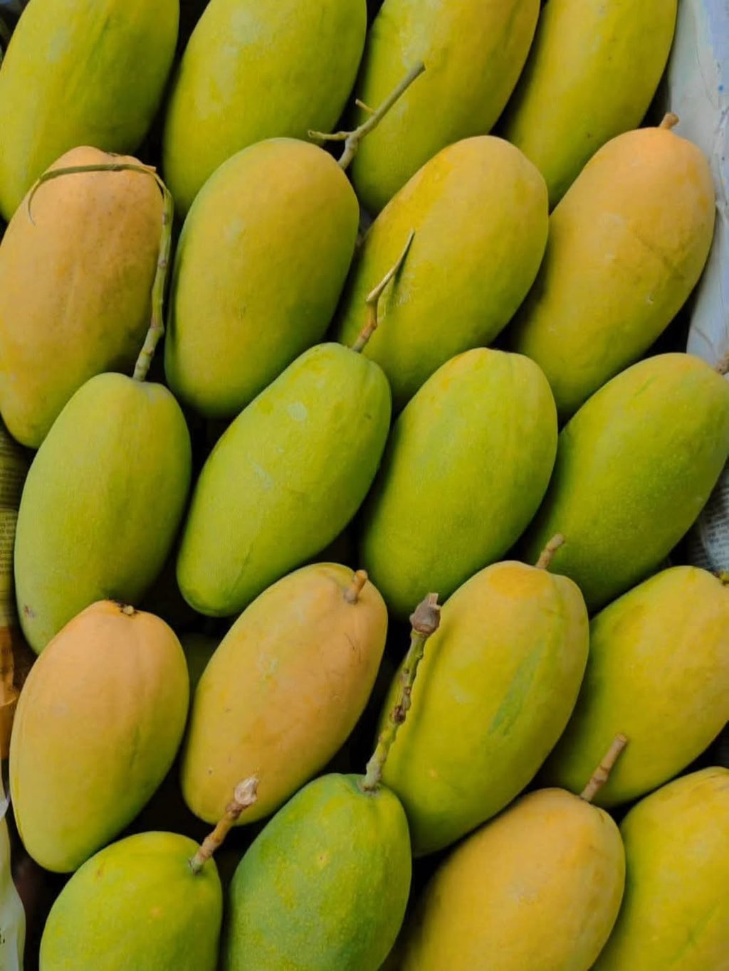 Aam e Zarr Premium Family Gifting Deal | Buy 5 boxes, get 1 free | Premium Multani Mangoes