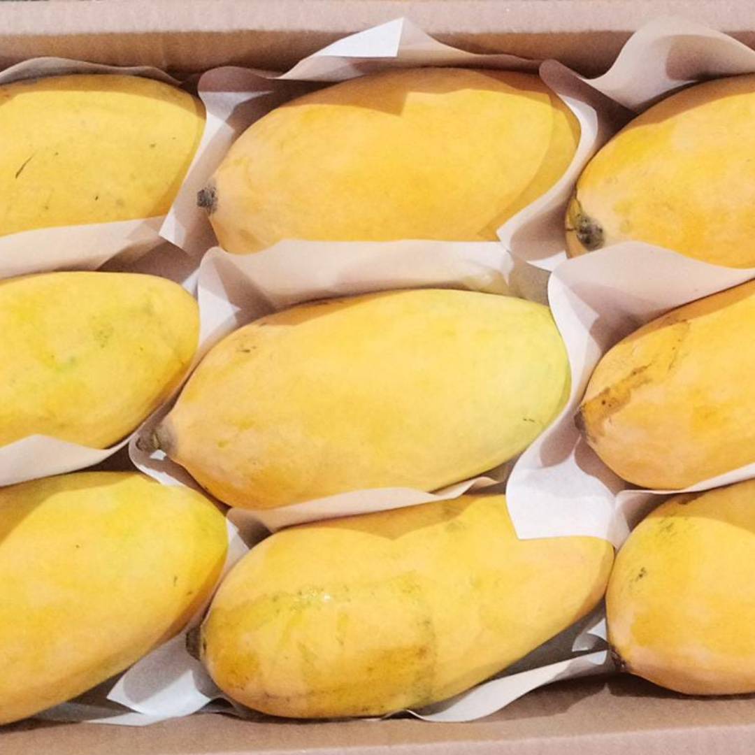 Aam e Zarr Premium Family Gifting Deal | Buy 5 boxes, get 1 free | Premium Multani Mangoes