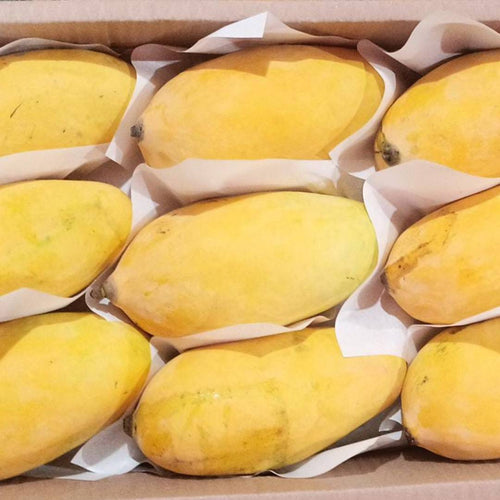 Premium Multani Chaunsa Mangoes | Aam e Zarr
