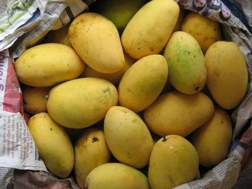 Premium Multani Chaunsa Mangoes | Aam e Zarr